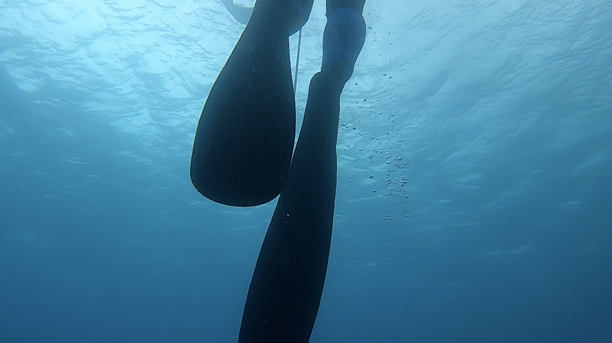 Slika zaslona 2022-03-30 u 20.04.37